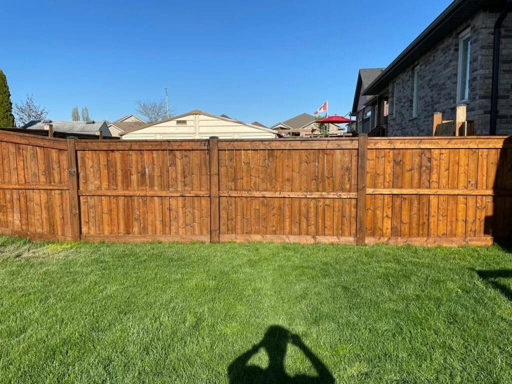 Backyard fence panels stained cedar tone