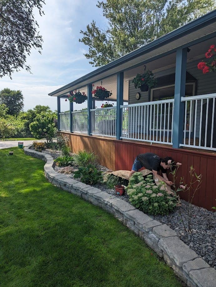 Raised deck with white railings and freshly stained skirting in Guelph